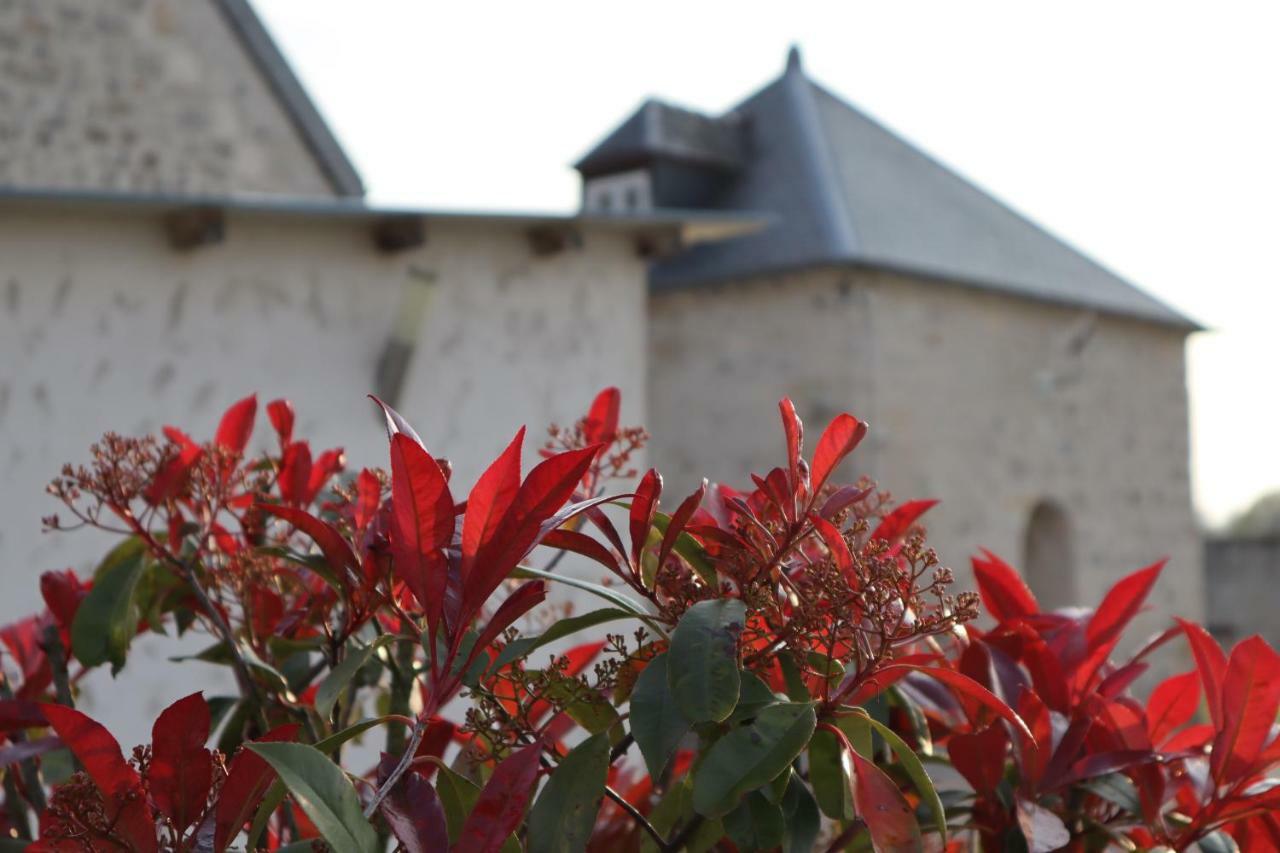 Holiday home De Saint Remy *